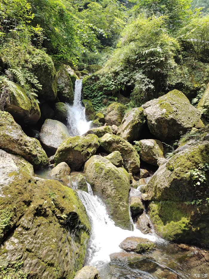 都江堰青城后山五龙沟一游