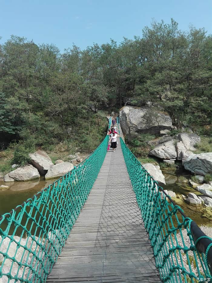 临朐黑松林一日游