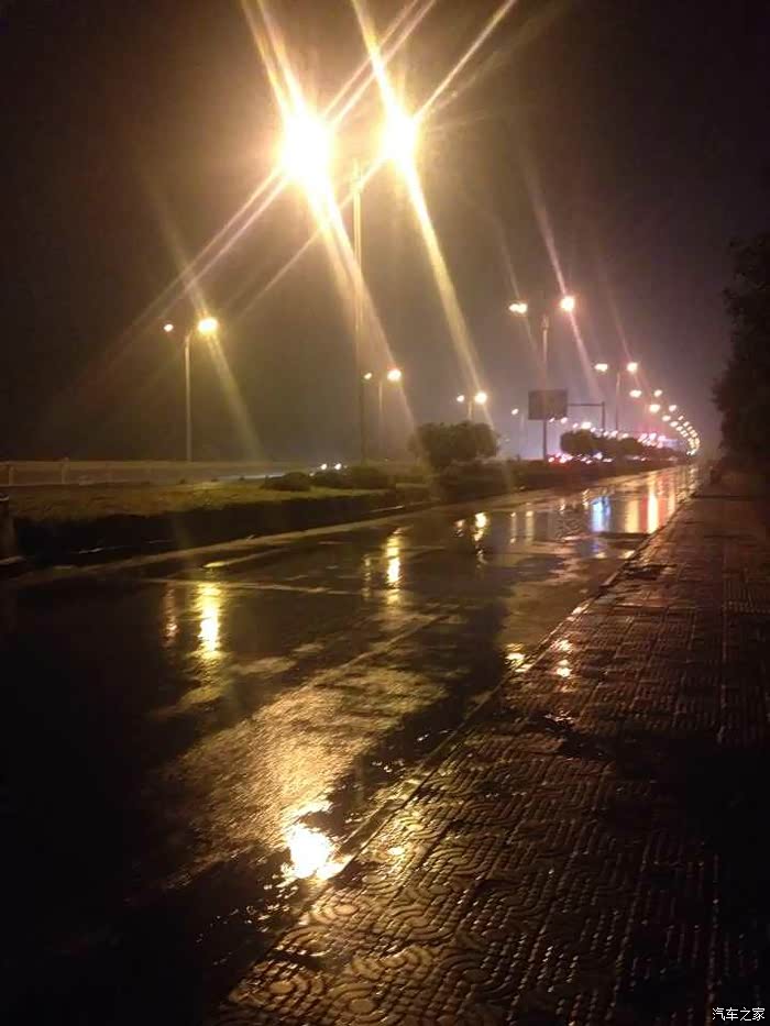 雨中的小六,更显优雅