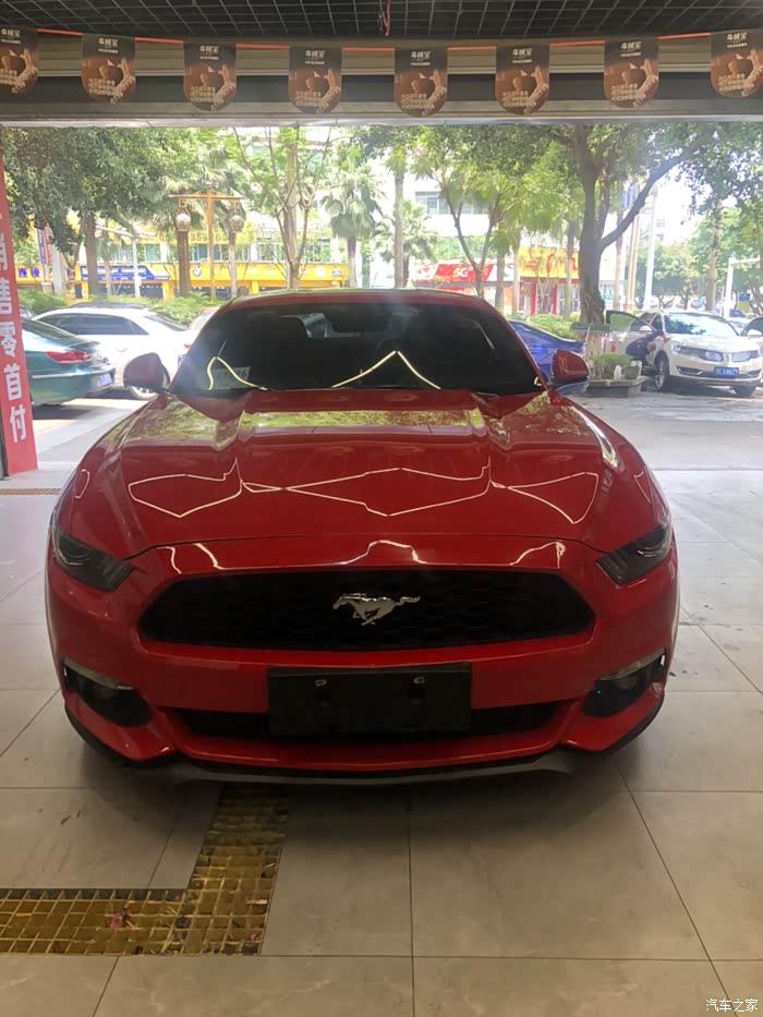 四川泸州出17中规野马238