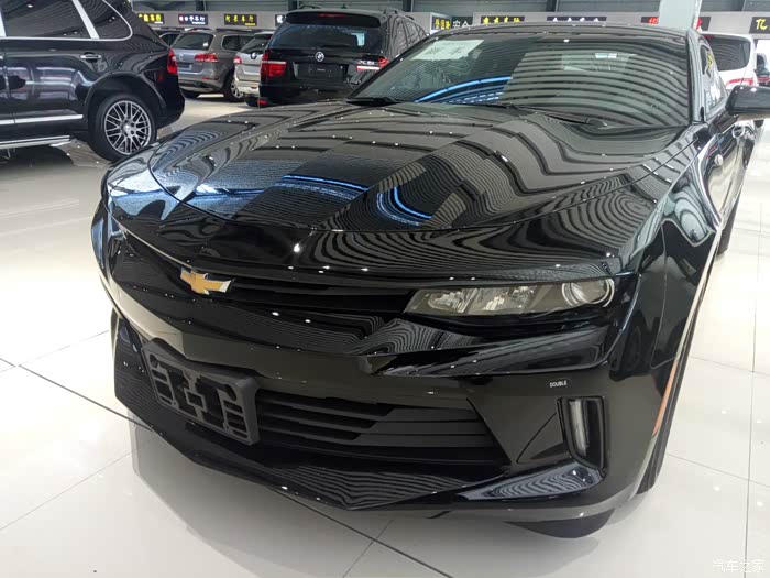 大黄蜂ang大黑蜂