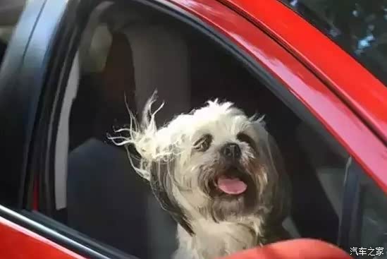 车载灭火器时间放长了会失效!