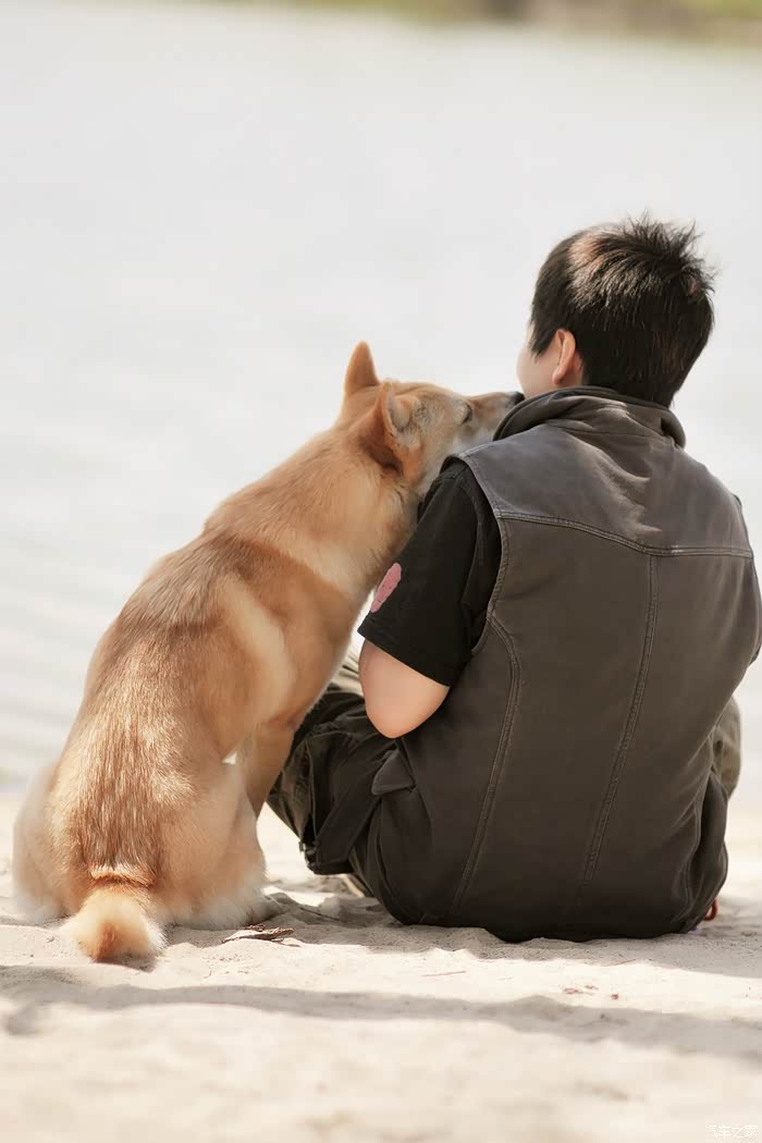 开着小雨燕携一人一狗自驾从北京到乌兰布统大草原过端阳