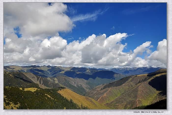 【我为什么要买D90,请给我个理由】-- 带你走进