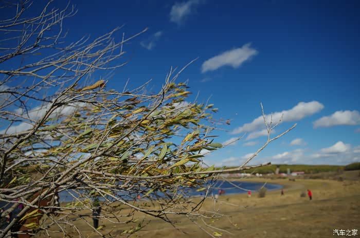 二屌欢乐坝上游照相水平差请海涵