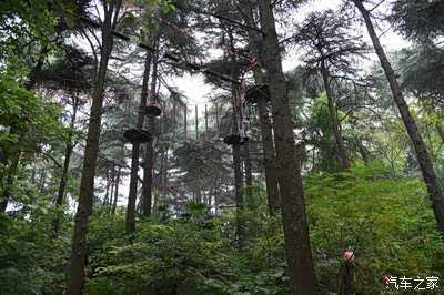 冒险森林别人玩high.