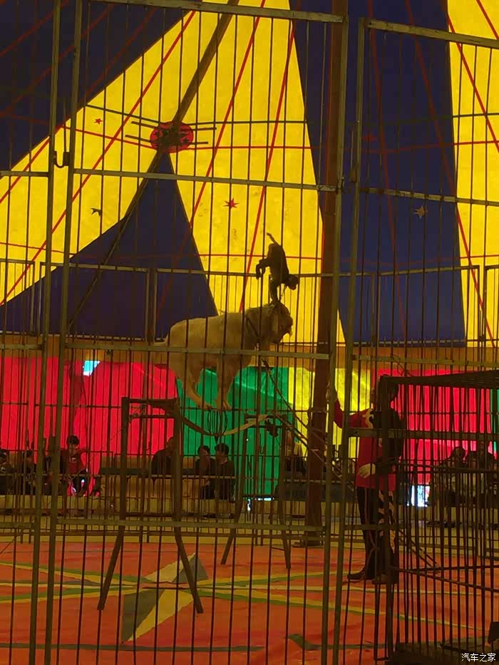 邯郸家门口的樱花节启乐小镇樱花节