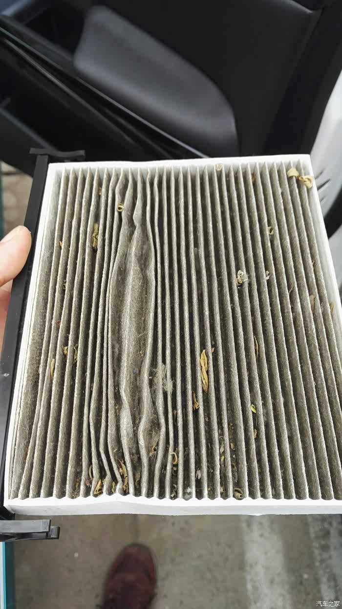 太脏才年到6300公里