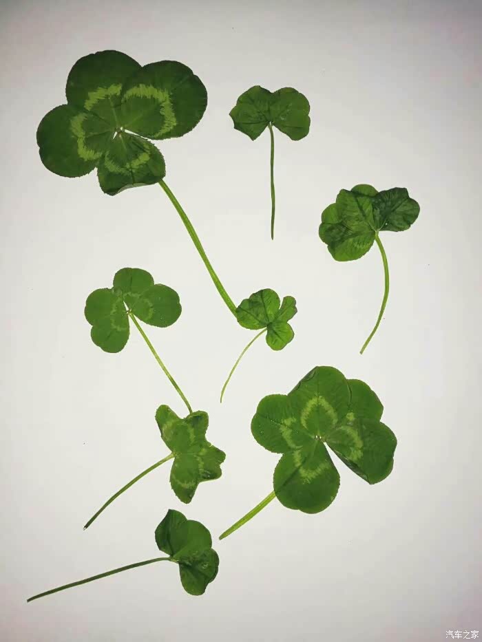 100 | 回复: 0 荣威rx5/rx5新能源论坛 怀念秋天的我们曾在下面读书讲