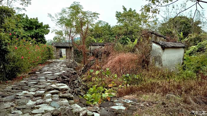 恩平石头村一处非常适合写生画线描的废弃村庄