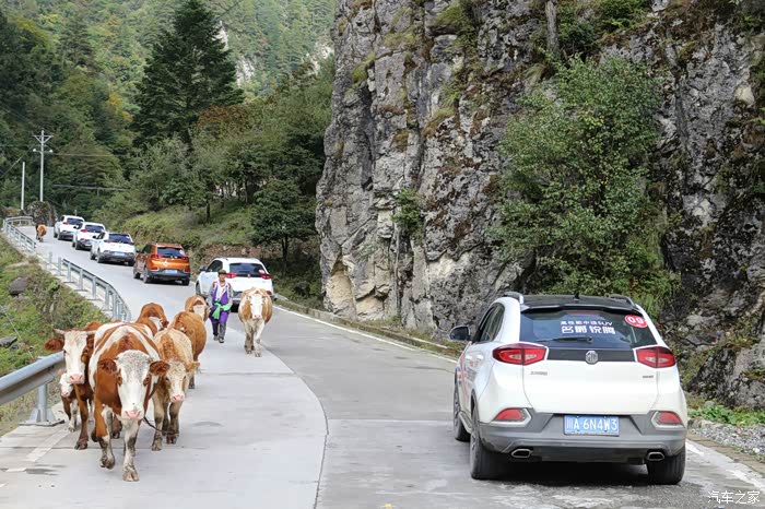 挑战雪山巅峰重走红军长征路2016锐腾夹金山深度自驾游记6号车