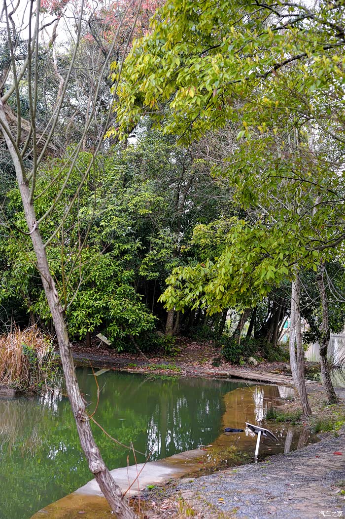 最美乡村之黄竹村