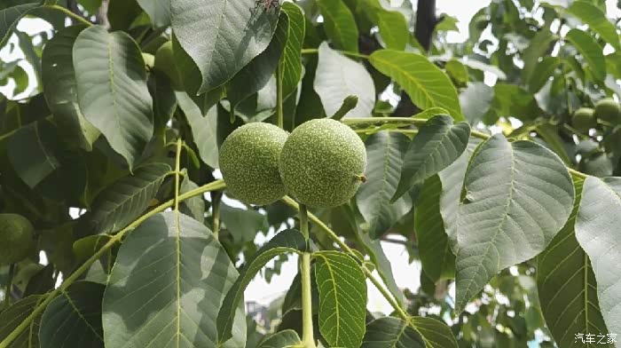 【活动报导】出差回津,老家游!我爱我家乡(承德市宽城县)