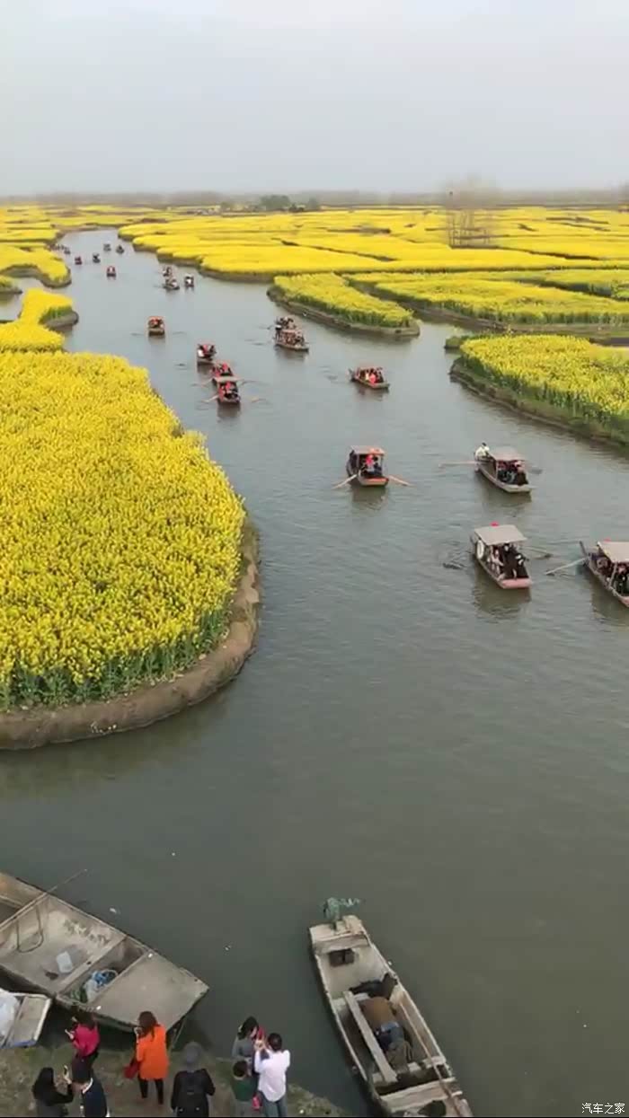 暖春好出游兴化千垛景区