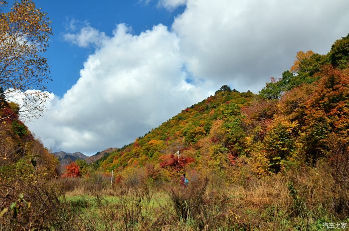 承德隆化茅荊壩森林公園,這裡的紅葉是五彩的!