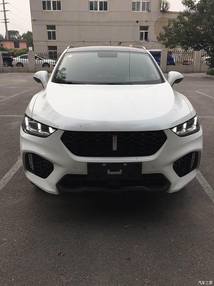 苦等36天今日喜提超豪雪域白