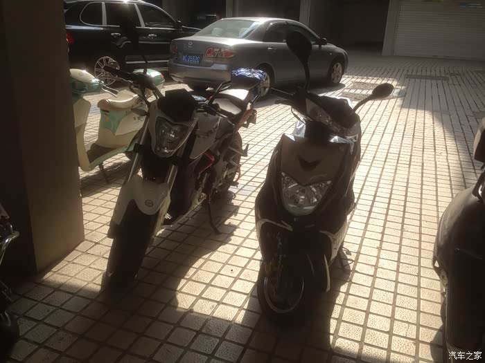 新提的王野125和小黄龙250来合个影