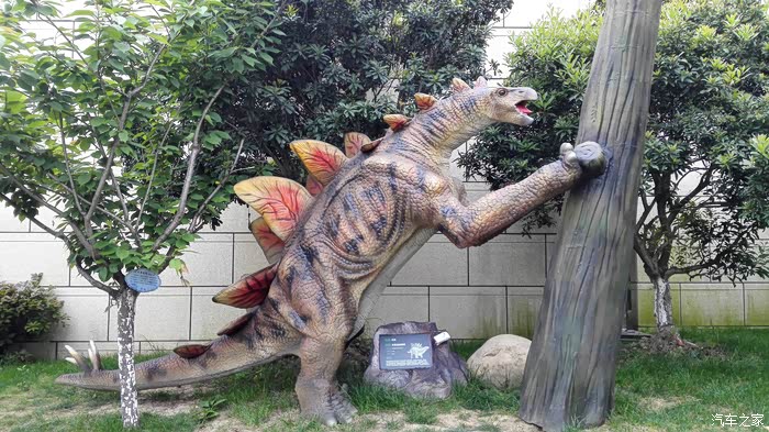 无锡长安车友会万达城看仿真恐龙展