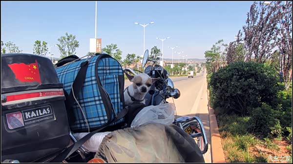 一条路,一个人,一条狗,看不一样的风景.