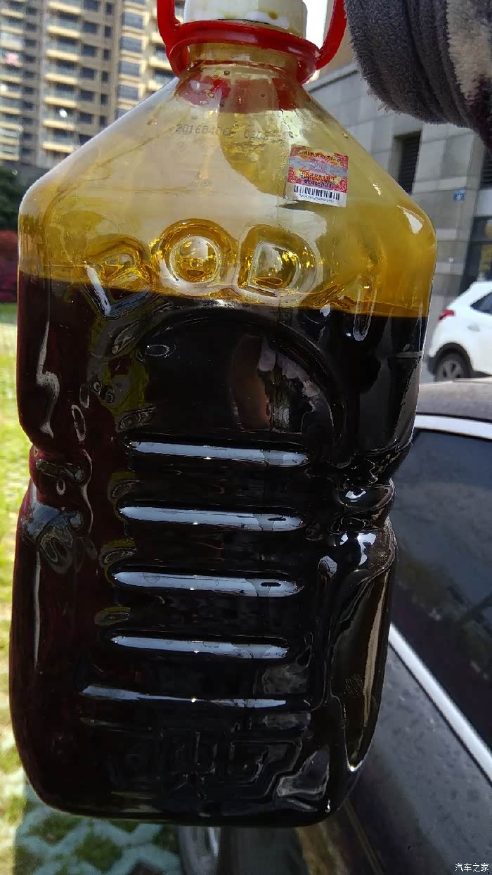 亲自动手给6岁小五换新鲜血液!