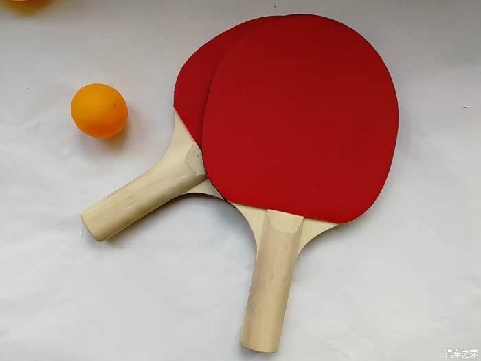 家家众测artengo牌乒乓球拍