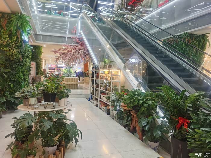 打卡淄博印象汇看看商场的变化吧