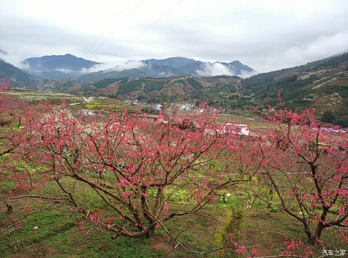 广东逸动车友会乐昌九峰桃花节