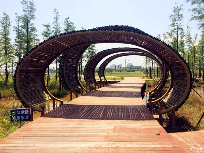 非常有特色竹子拱门