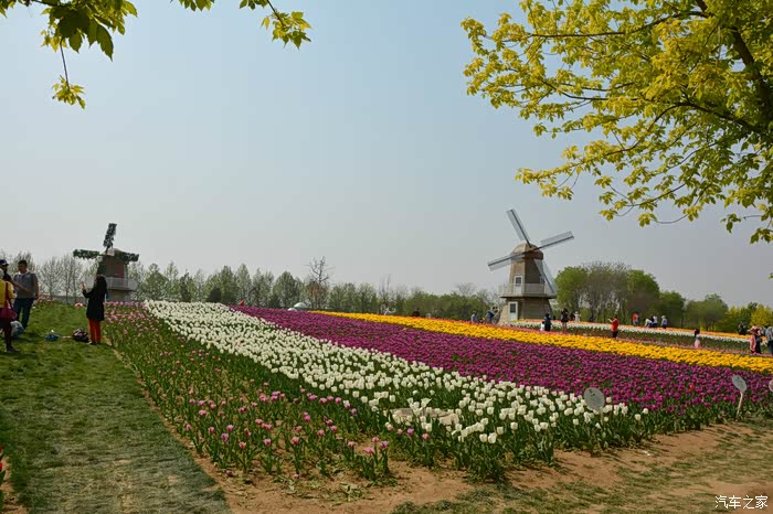 北京国际鲜花港一日游
