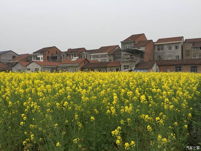 长沙cs75官方车友会澧县人在长沙常回家看看