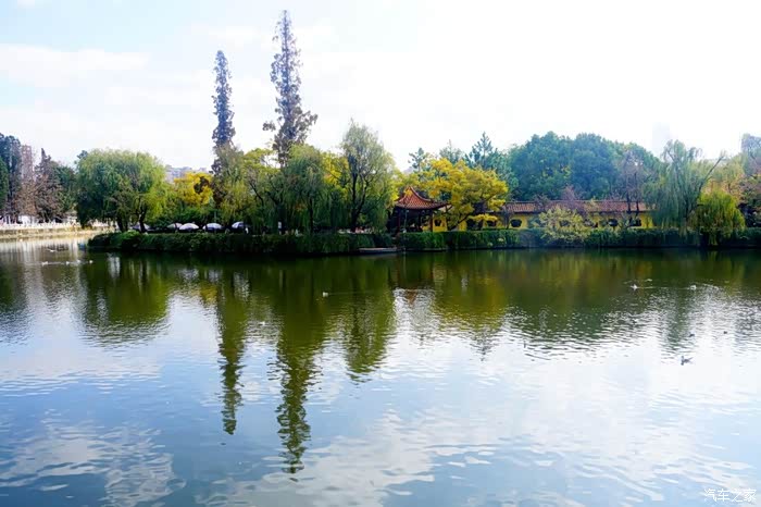 春游昆明翠湖公园人与自然的和谐