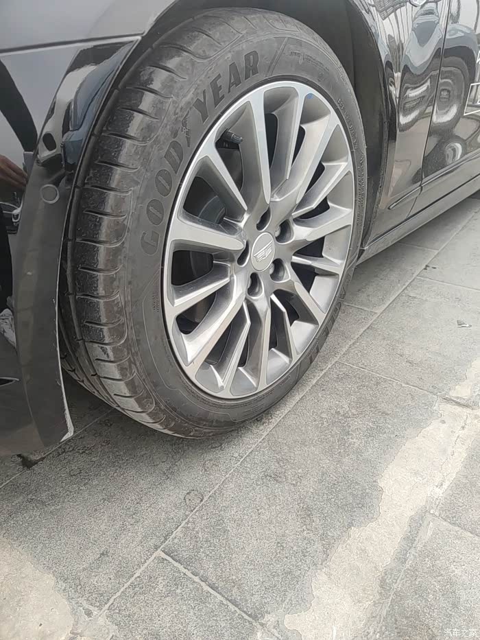 【图】家里添加新成员ct6细节美照_凯迪拉克ct6论坛_汽车之家论坛