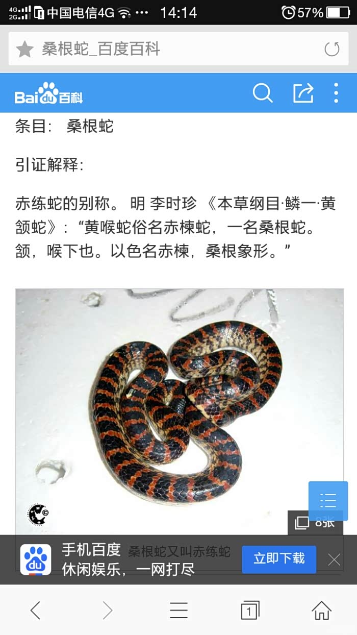 【图】这是什么蛇_四川论坛_汽车之家论坛