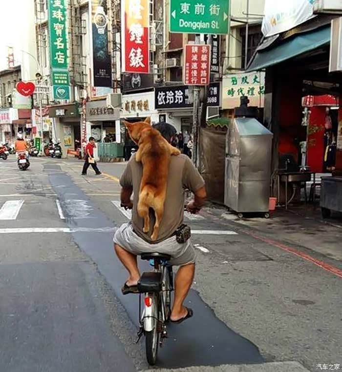 背狗狗骑自行车的主人