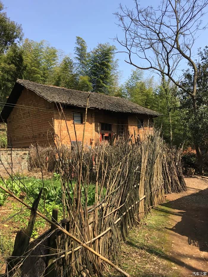 天暖,有阳光,带着我的小和尚踏个早春.