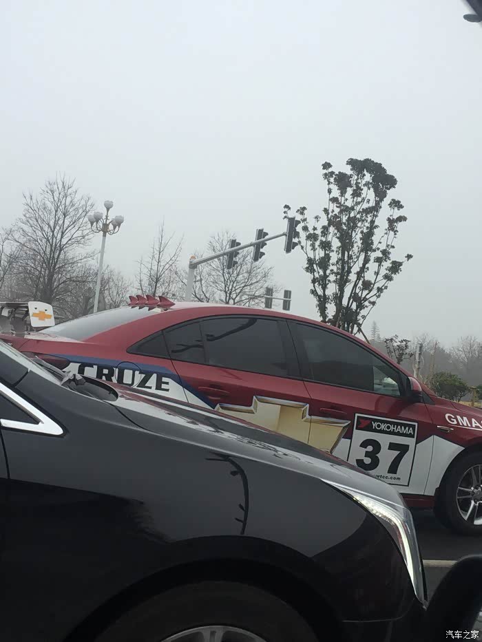 【图】四个鲨鱼鱼鳍有啥特殊功效?