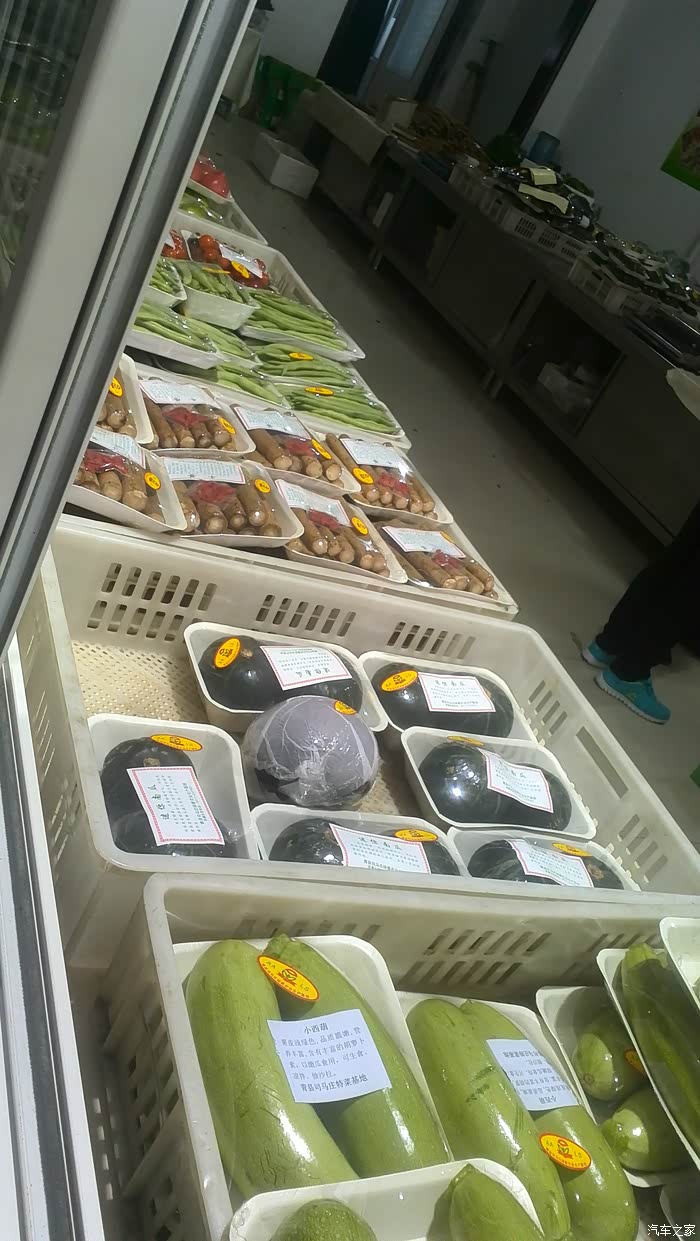 春暖花开踏青出游青县大司马庄绿色有机蔬菜采摘记