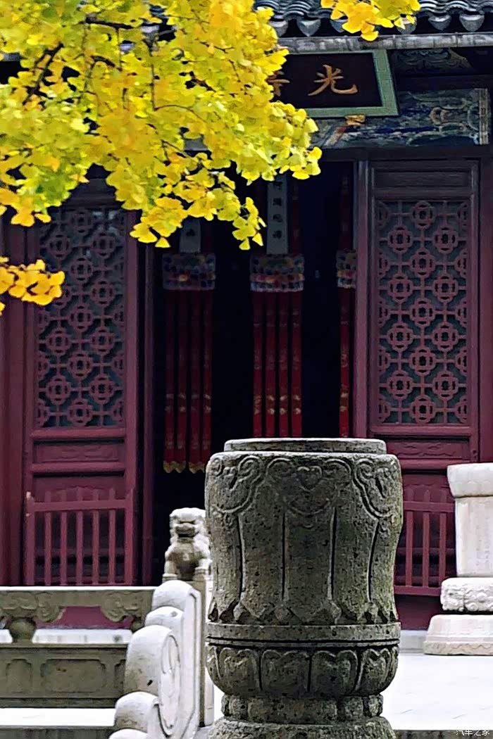 最美西园寺,银杏叶黄时,不会让你失望的