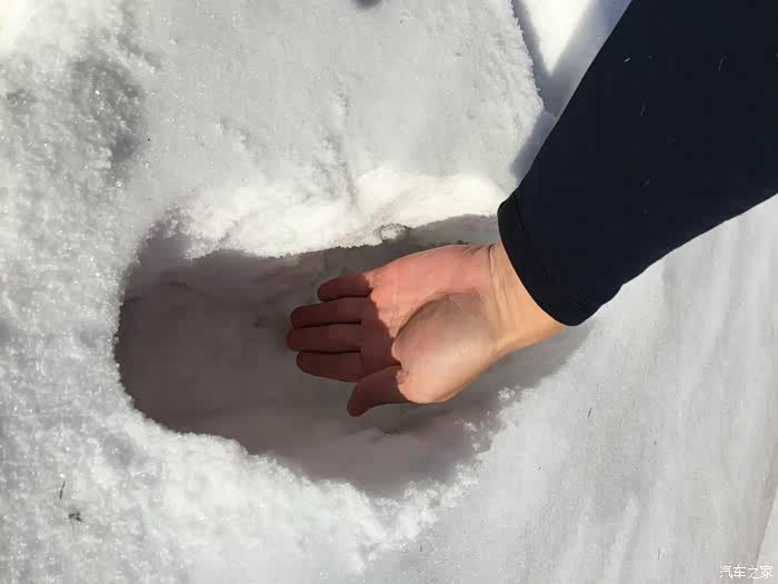 ▼▼▼用手试雪厚度,至20厘米