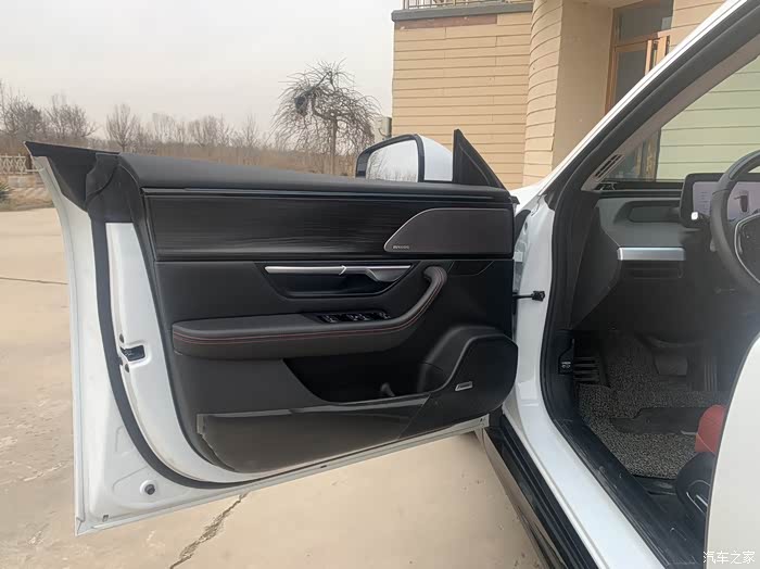 可以称为艺术品的车门