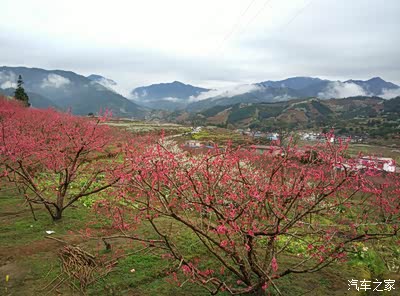 广东逸动车友会---乐昌九峰桃花节