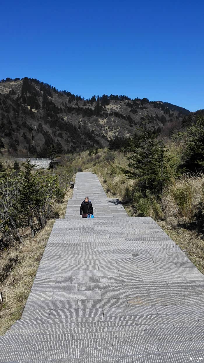 神农顶要登2999个台阶我们只足1000个台阶实在动只半途而废