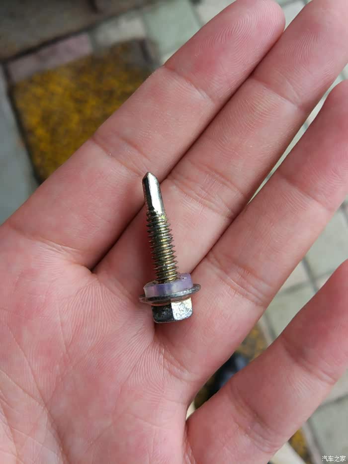 【图】今天车胎被扎,蘑菇钉60_朗逸论坛_汽车之家论坛