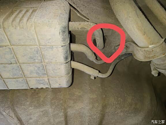 大神过来看看 碳罐管子湿的是什么东西啊