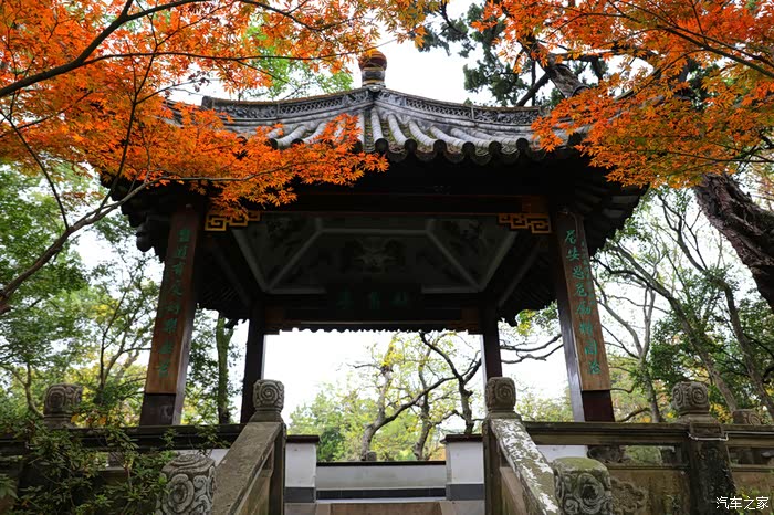 游古猗园,欣赏着另类天然美景