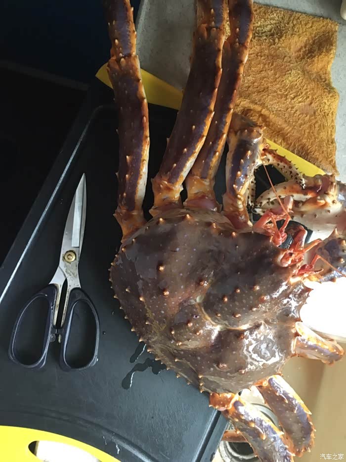 买的帝王蟹 七斤八两