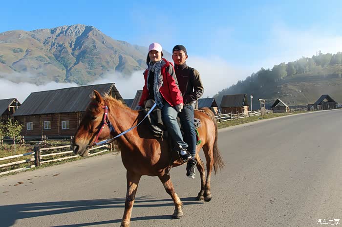 早起的猫咪荡秋千