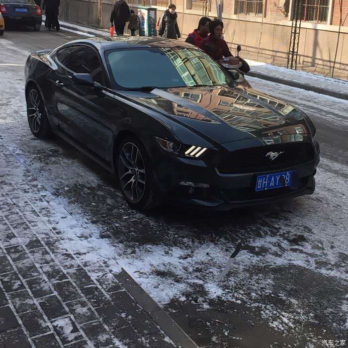 美规野马挂牌了