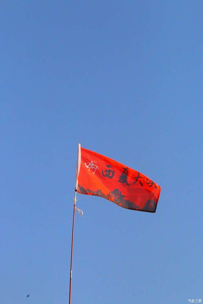 撒野在腾格里的西夏大漠