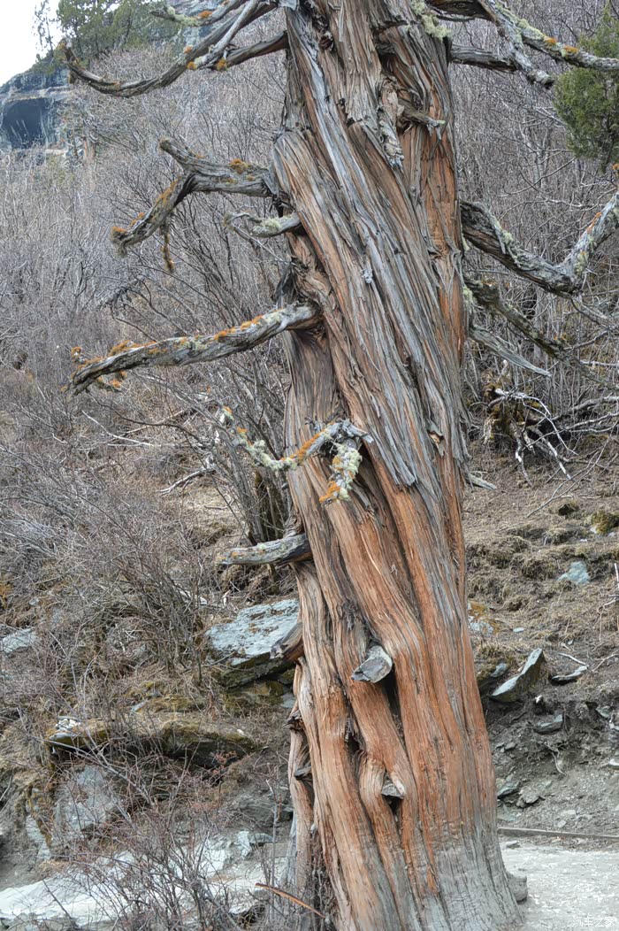 亚丁雪山的执念--路途虽险恶,心中终不悔!